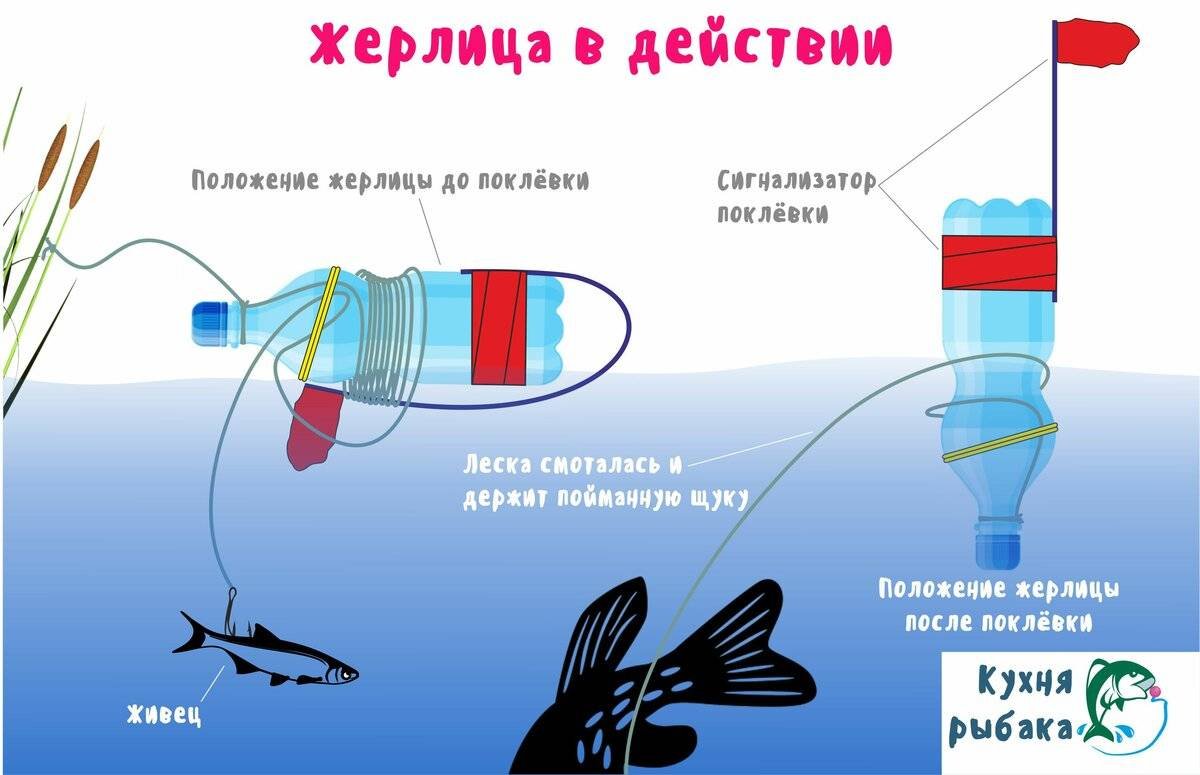 Как изготовить летнюю жерлицу?