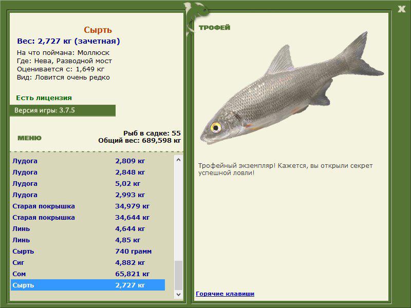 Кутум рыба. описание, особенности, виды, образ жизни и среда обитания кутума