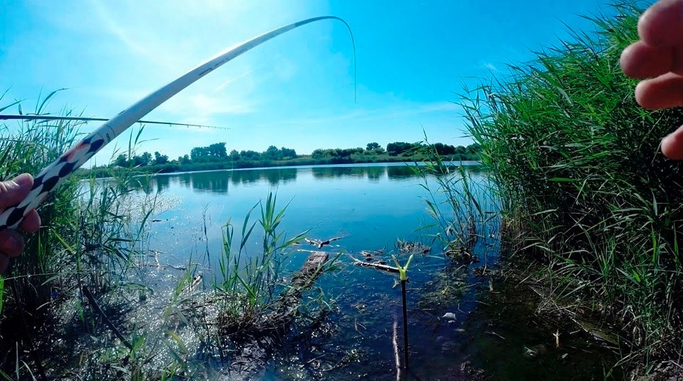 Рыбалка в брестской области: видео, отчеты, реки, озера, рыболов брестчины, платная рыбалка