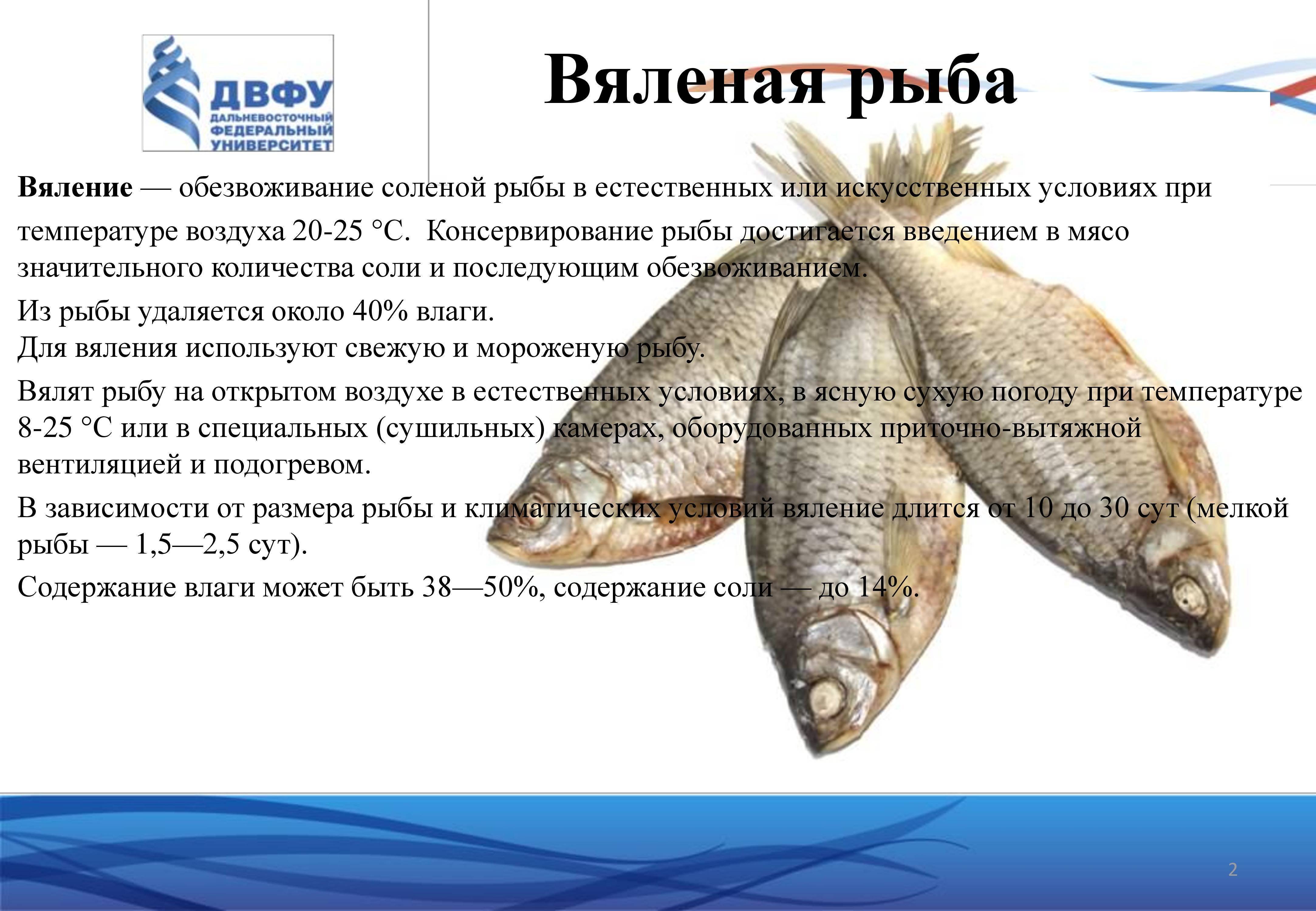 Хранение вяленой рыбы