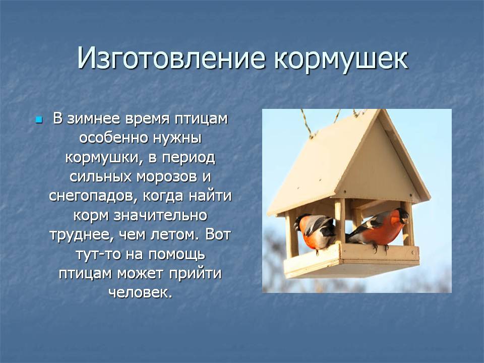 Кормушки для фидера своими руками: как сделать, виды, советы