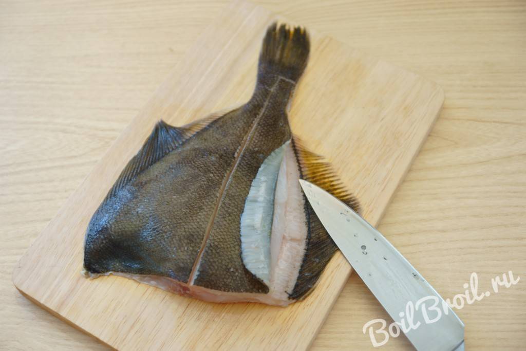Очищение и разделка камбалы, способы приготовления