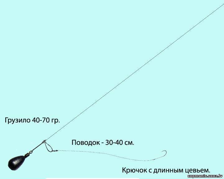 Ловля сома на спиннинг: рыбалка не для слабонервных