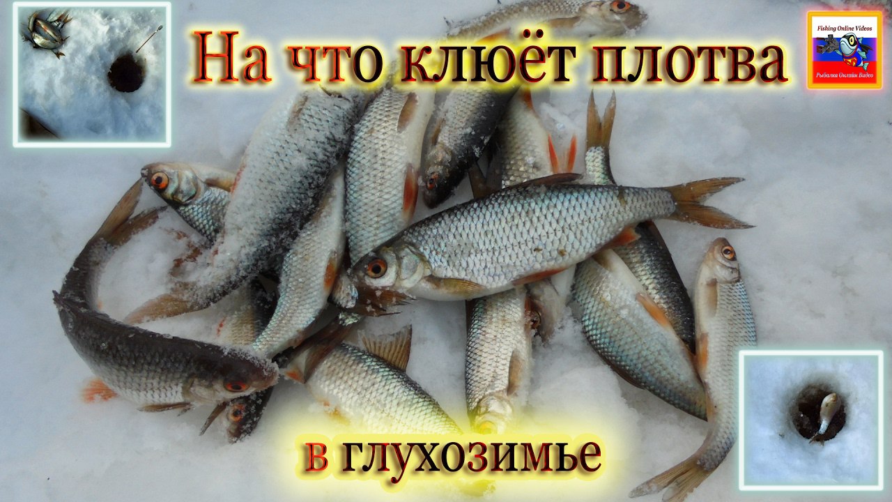 Зимняя ловля в глухозимье. особенности рыбалки.