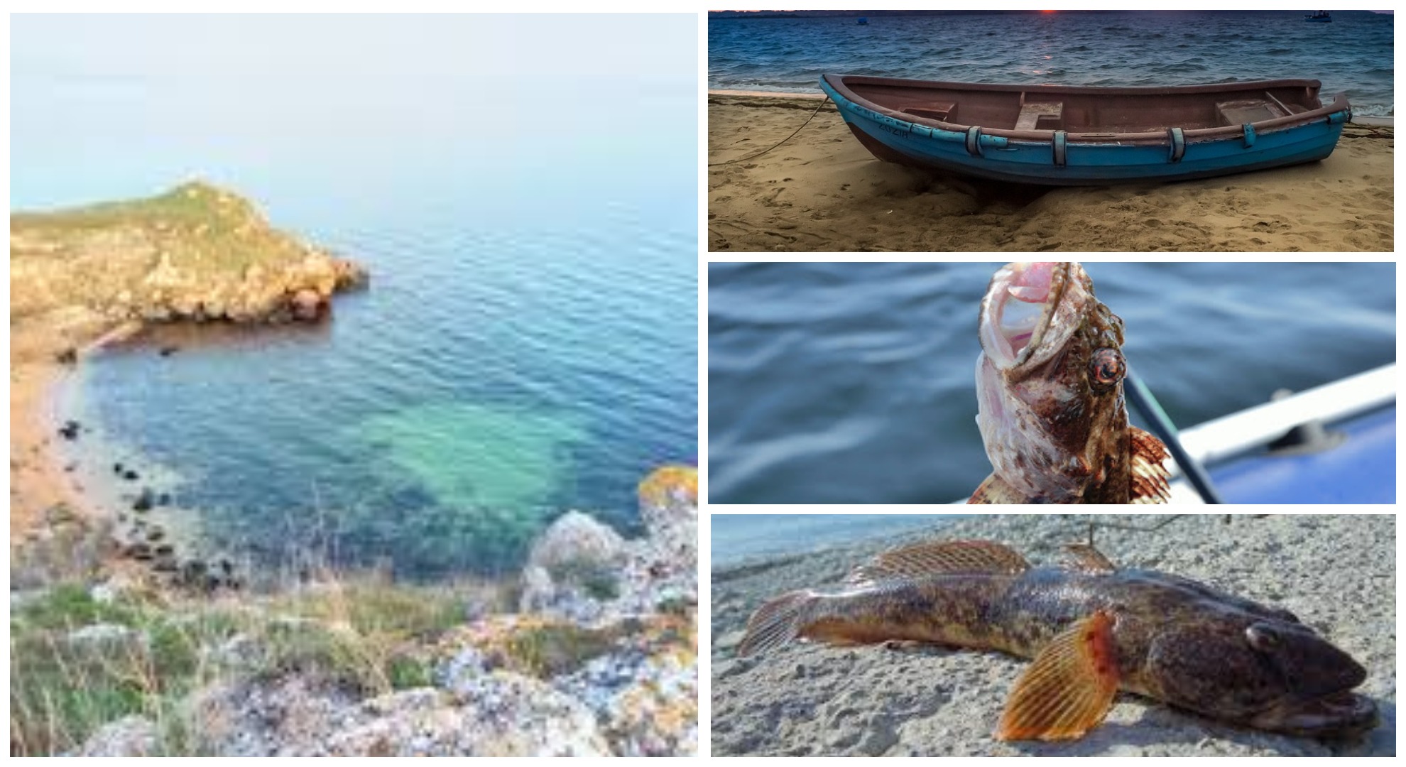 Рыбалка на азовском море с берега: какая рыба водится, на что ловить