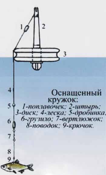 Ловли щуки на кружки | оснащение и наживки