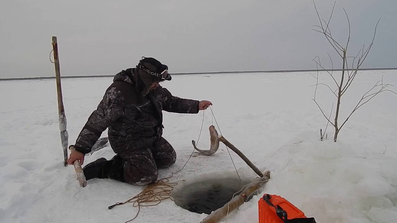 Рыбалка на налима зимой – лучшие способы ловли