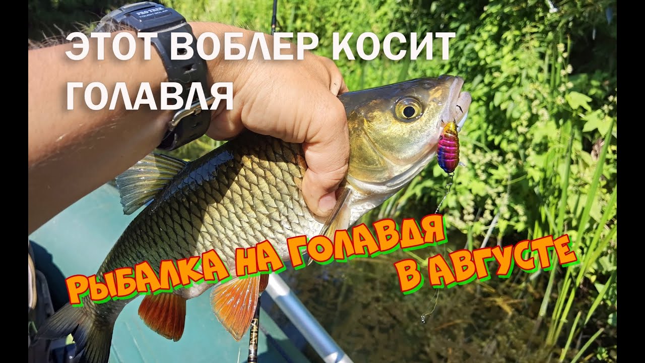 Микроджиг на окуня: оснастка, монтаж и проводки. ловля окуня на микроджиг
