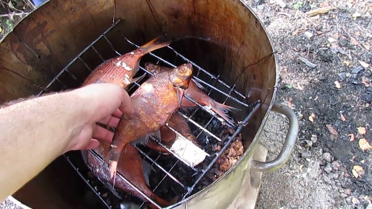 Коптильня горячего копчения своими руками: чертежи + фото