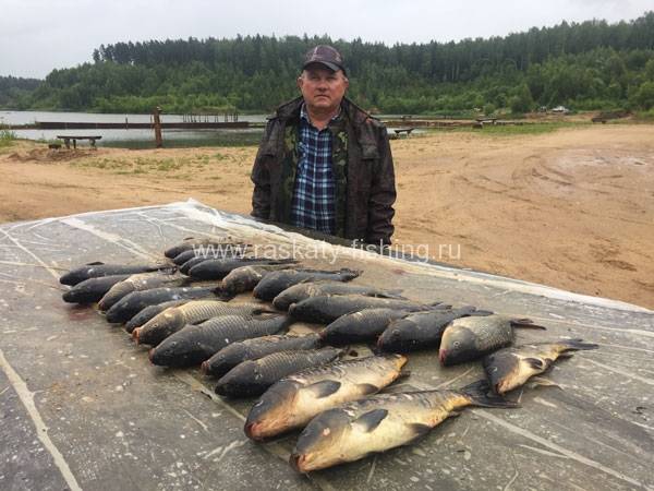 Рыбалка в одинцовском районе (раскаты, власово и другие рыболовные базы), какая рыба водится