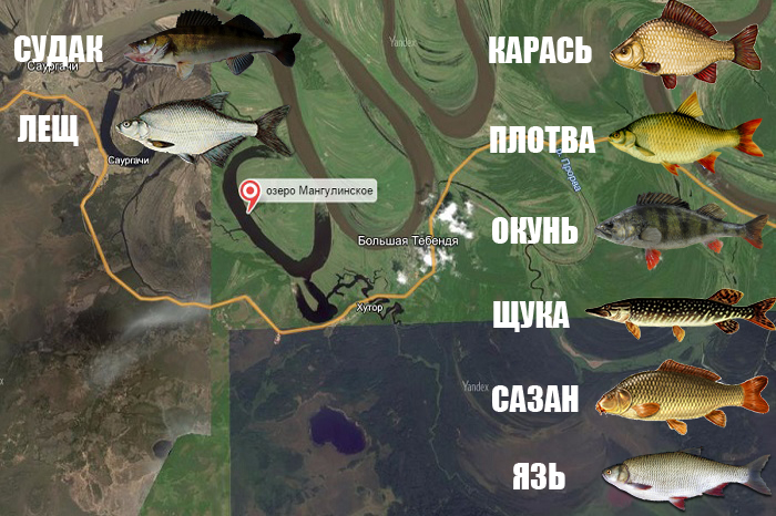 Рыбалка в днр  2023 - куда поехать, обзор водоемов (видео с донбасса)