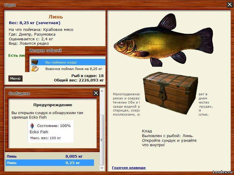 Как поймать линя на поплавочную удочку летом, какие использовать наживки | животный мир