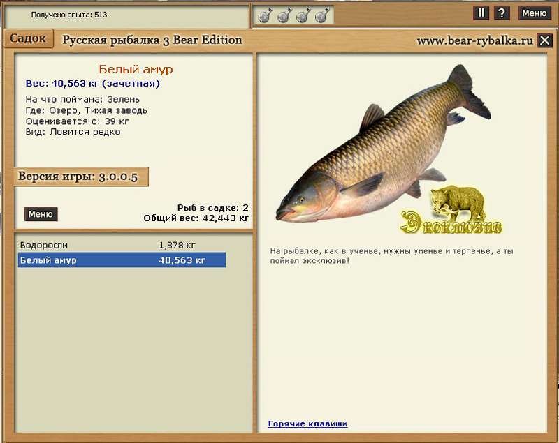 Ловля белого амура жарким летом (димитрий слета) - carpfishing