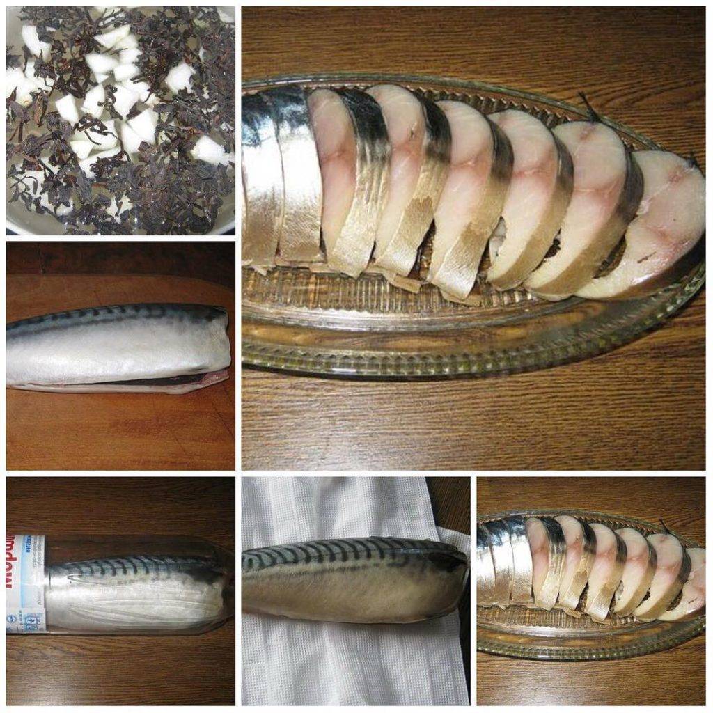 Как солить скумбрию в домашних условиях быстро и вкусно: рецепты соленой рыбы целиком и кусочками