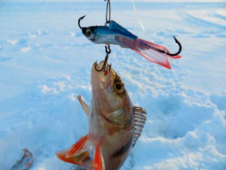 Балансиры для зимней рыбалки