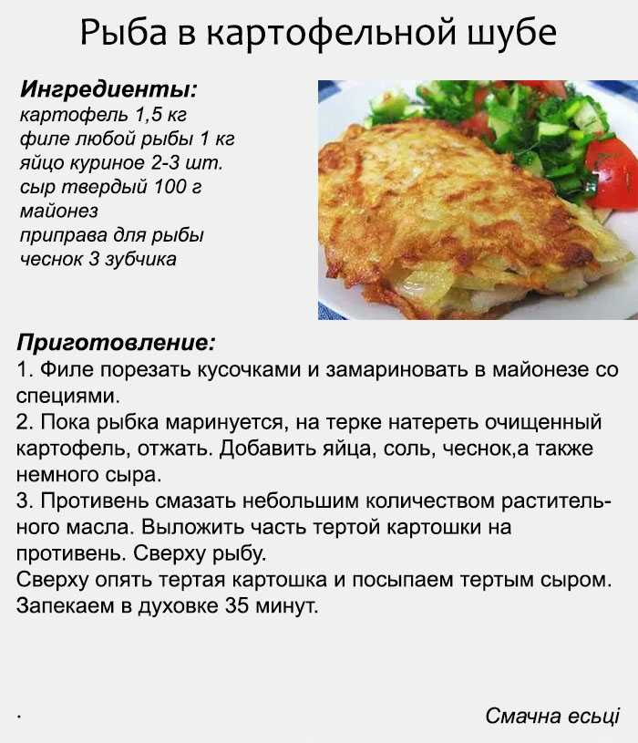 Судак, запеченный в духовке: как приготовить рыбу