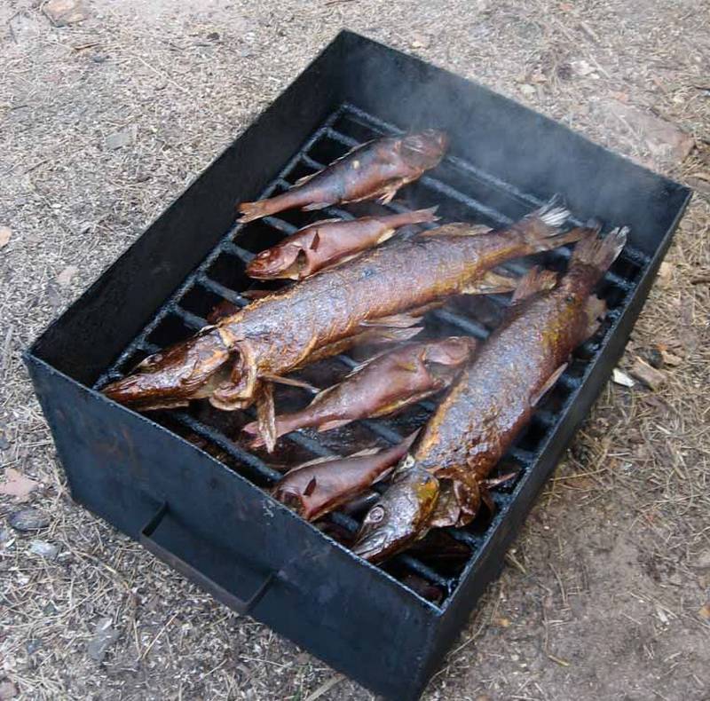 Копченая красная рыба горячим и холодным методами: калорийность, рецепты и названия