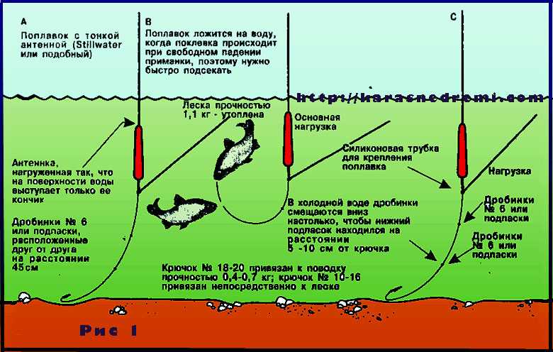 Как правильно ловить форель зимой: лучшие приманки и насадки