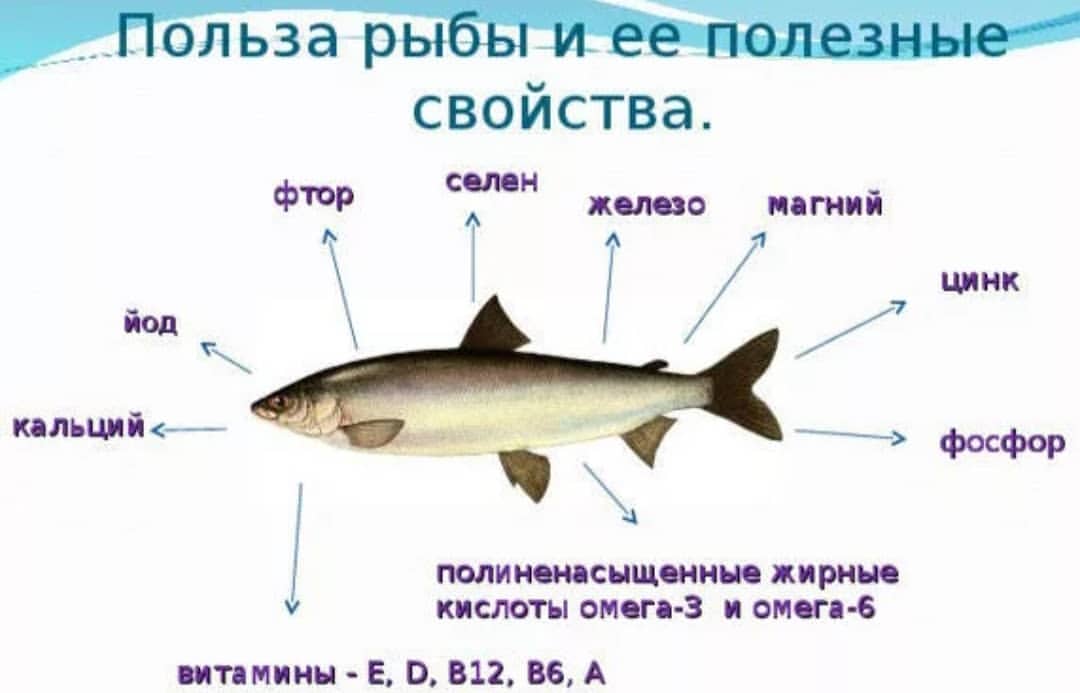К нам из аргентины везут рыбу - двойника корюшки