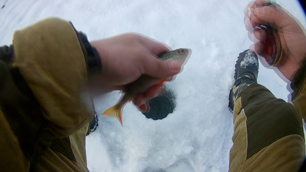 Хитрости и секреты зимней рыбалки