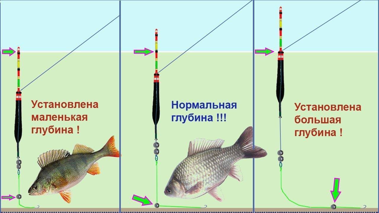 Как правильно собрать удочку для рыбалки? - суперулов - интернет-портал о рыбалке