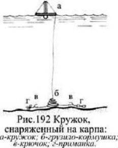 Ловля карпа на кружки: насадки, места и прикормки, процесс ужения карпов кружками