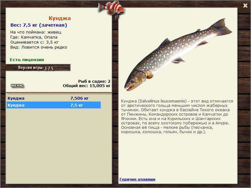 ✅ рыба кунджа рецепты - fish-hunt.net.ru