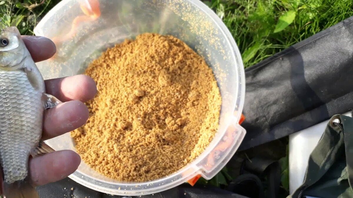 Ловля карася весной – особенности и секреты