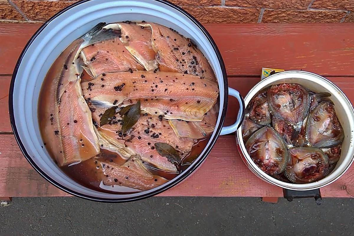 Засолка мяса, сала, рыбы для холодного (горячего) копчения в домашних условиях