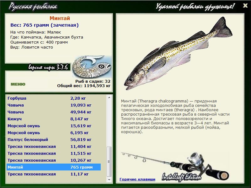 Треска беломорская фото и описание – каталог рыб, смотреть онлайн