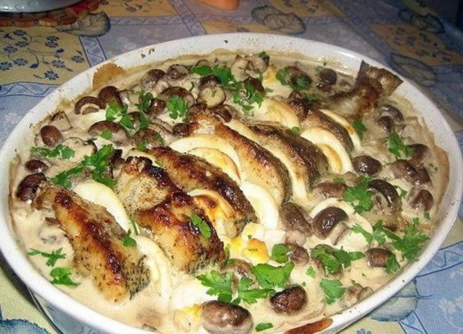 Что можно приготовить из щуки с картошкой. щука в духовке в фольге - вкусные рецепты оригинальных блюд на каждый день и для праздника. котлеты из щуки
