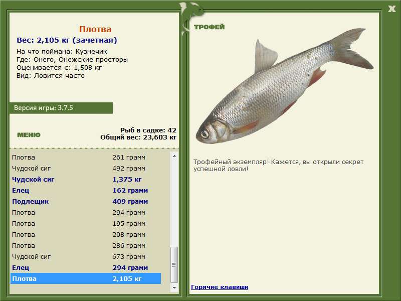 Рыба «плотва сибирская» фото и описание