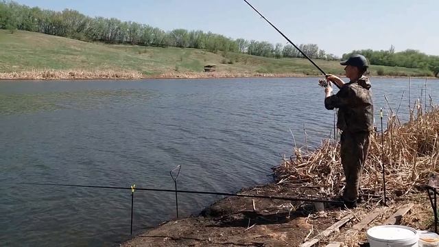 Рыбалка на карпа – видео обзор способов ловли