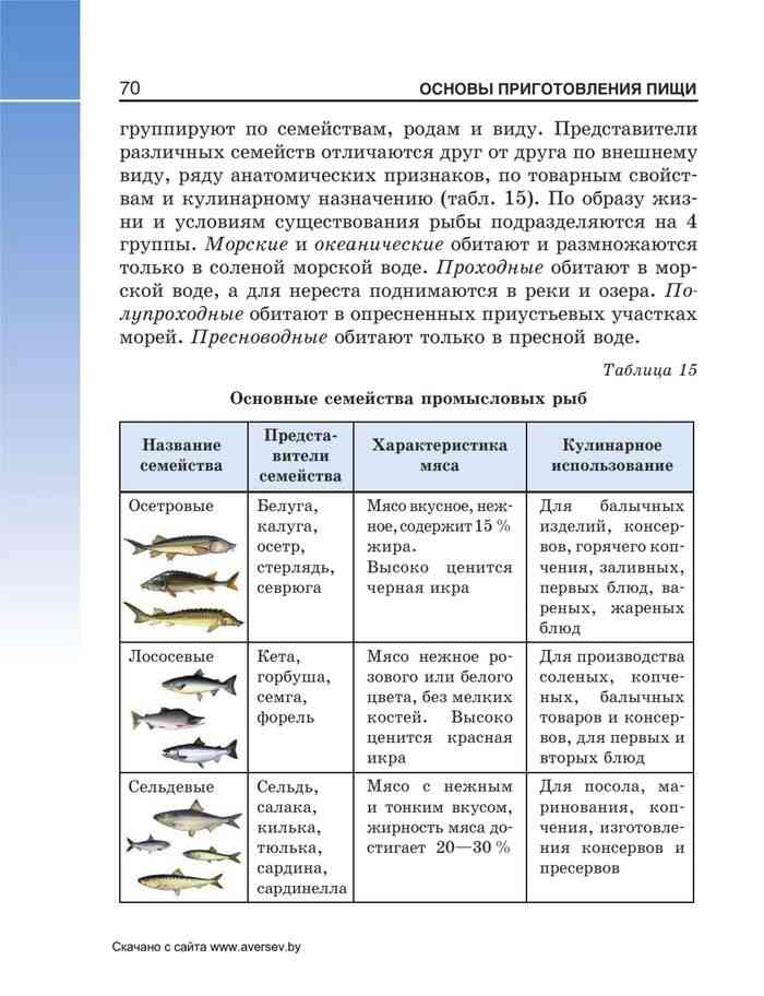 Какие рыбы относятся к роду семейства тресковых, треска морская или речная рыба: список, названия, виды