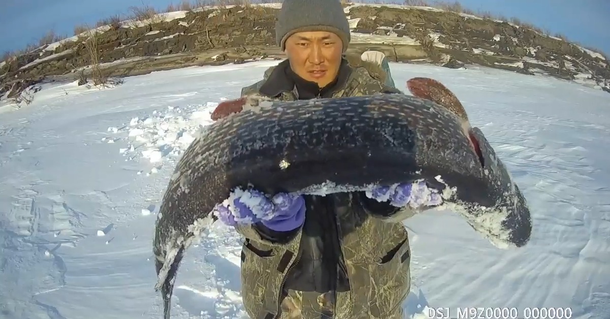 Рыбалка в якутии – лучшее руководство по ловле 2021