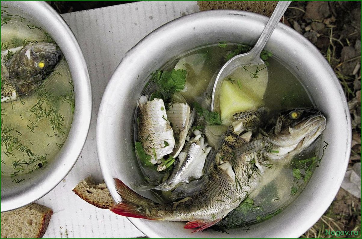 Классическая уха – 6 простых и вкусных рецептов