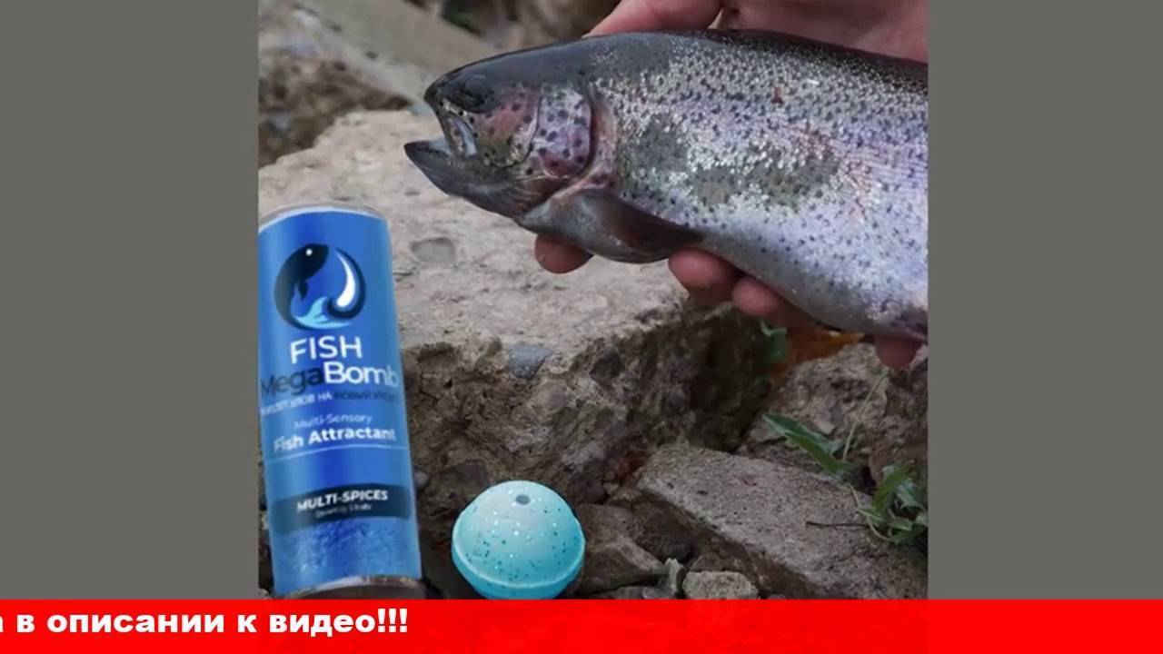 Fish megabomb: отзывы об инновационной приманке для рыбалки: обман!