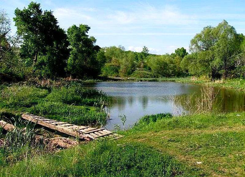 Рыбалка в подмосковье — платная и бесплатная, лучшие места, куда можно поехать хоть завтра