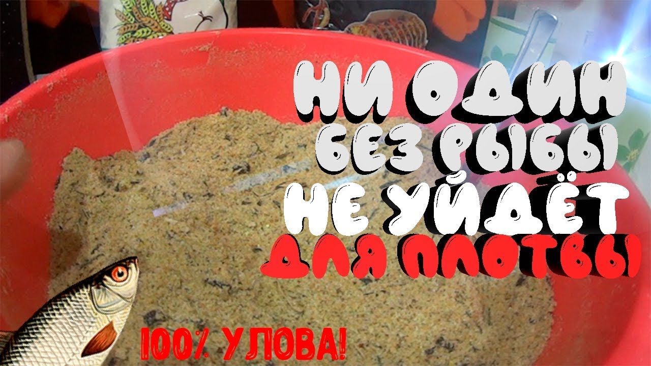 Зимняя ловля плотвы: где искать, прикормка, как прикормить