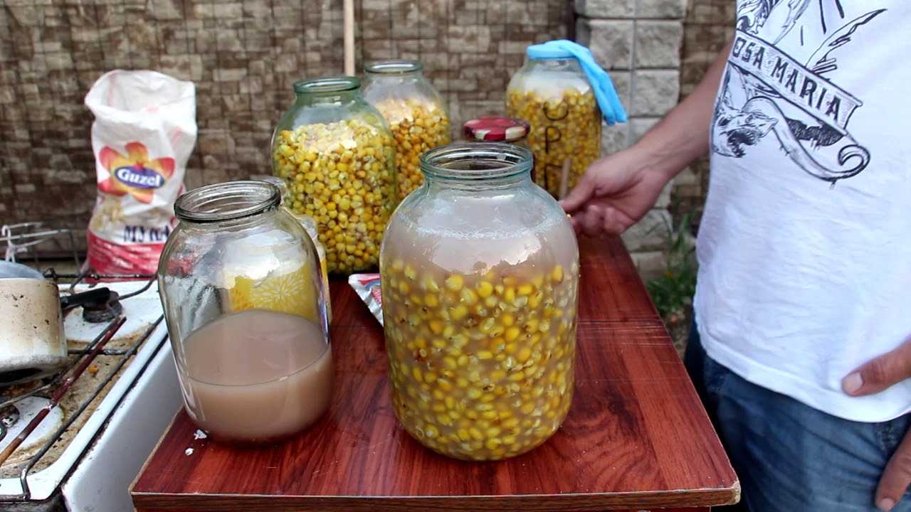 Кукуруза для рыбалки как насадка и прикормка - приготовление