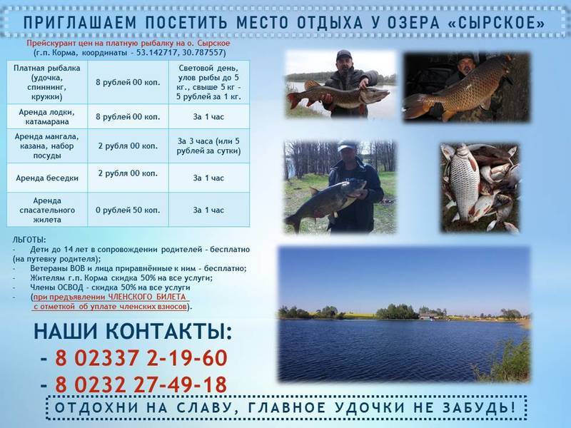 15 лучших рыболовных мест калужской области, бесплатные и платные