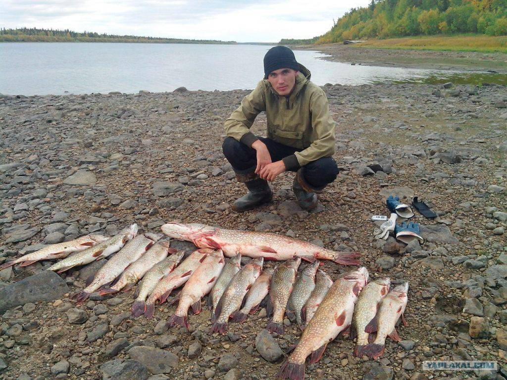 ✅ рыбалка в балаклаве сегодня - danafish.ru