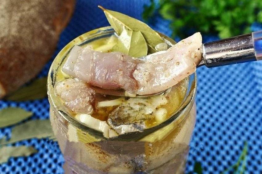 Маринованная щука: как замариновать в домашних условиях (кусочками в уксусе с луком)