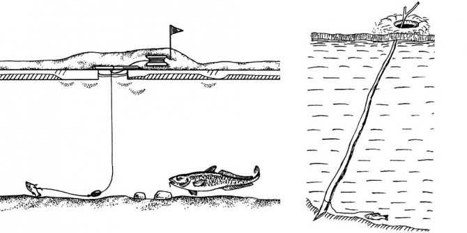 Ловля налима осенью: когда начинает клевать, как поймать, снасти и наживки для рыбалки