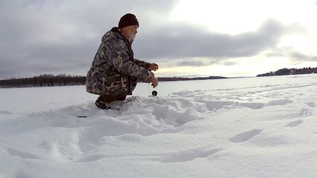 Зимняя рыбалка на налима: где искать и на что клюет
