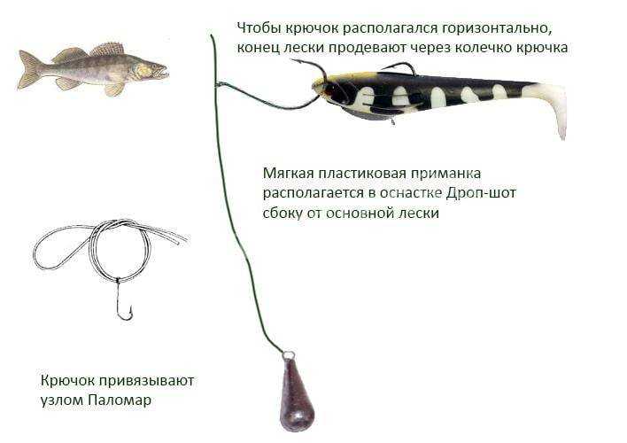 Рыбалка на дроп-шот: монтаж оснастки, техника ловли